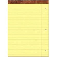 Esranın Dünyası Legal Pad Not Defteri - 50 Yaprak, 3-Delik Delikli, 21,6 x 29,8 cm