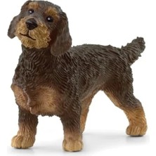 Esranın Dünyası Tel Tüylü Dachshund Oyuncak Figürü, Aktif Köpek Modeli