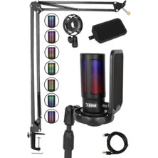 Esranın Dünyası USB Bağlantılı Oyuncu ve Yayıncı Mikrofonu