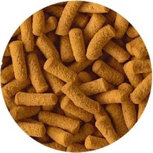 Esranın Dünyası Yetişkin Cichlid Balıkları Için Sticks - 250 gr