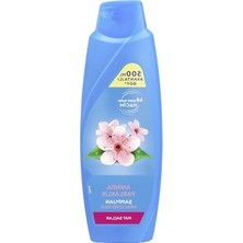 Esranın Dünyası Kiraz Çiçeği Özlü Parlaklık ve Yumuşaklık Şampuanı - 500 ml