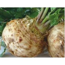 Esranın Dünyası Kök Kereviz Tohumu - 10 Gram