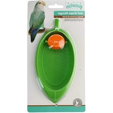 Esranın Dünyası Kuş Banyosu