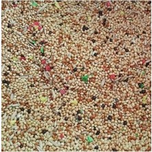 Esranın Dünyası Muhabbet Kuşu Için Özel Yemi, 1 kg