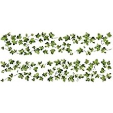 Esranın Dünyası Duvardan Çıkarılabilir "klettern Ivy" Duvar Çıkartması, 27 x 12,7 cm