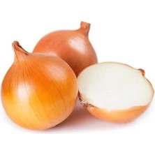 Esranın Dünyası Kaliteli Soğan Çoklu Tohum - 5 Gram