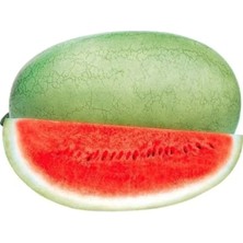 Esranın Dünyası Çoklu Tohum Karpuz Chr.beyaz - 5 Gram