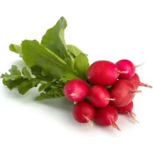 Esranın Dünyası Fındık Turp Tohumu - 5 Gram