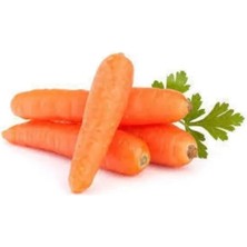 Esranın Dünyası Havuç Tohumu - 5 Gram