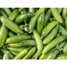 Esranın Dünyası Çengelköy Doğal Salatalık Tohumu - Taze ve Lezzetli