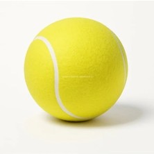 Esranın Dünyası 14 cm Boyutunda Dayanıklı Tenis Topu Köpek Oyuncağı