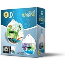 Esranın Dünyası Dekoratif Plastik Duvar Akvaryumu - Xlarge (3,5 Litre, 29 Cm)