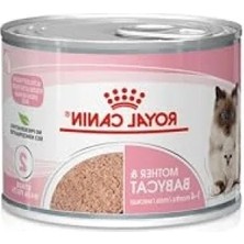 Esranın Dünyası Yavru Kedi Konservesi - Hücresel Yenilenme ve Üriner Sistem Desteği, 195 gr