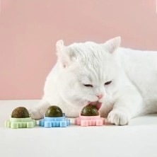 Esranın Dünyası Catnipli Yenilebilir Kedi Nanesi Otu Yalama Oyuncak Topu, Yengeç Şeklinde