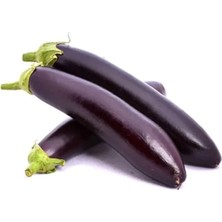 Esranın Dünyası Kemer Patlıcan Tohumu - 5 Gram