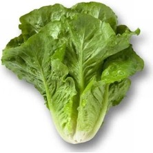 Esranın Dünyası Yedikule Marul Tohumu - 5 Gram