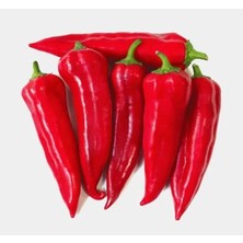 Esranın Dünyası Kaliteli Maraş Biber Tohumu - Çoklu Kullanım - 5 Gram