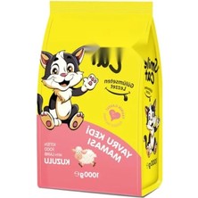 Esranın Dünyası Yavru Kediler Için 1 kg Kuru Mama