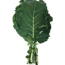 Esranın Dünyası Karadeniz Lahana Tohumu - 5 Gram