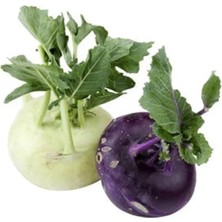 Esranın Dünyası Alabaş Kolhrabi Tohumu - 2 Gram