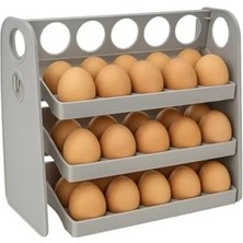 Esranın Dünyası 30 Hazneli Yumurta Organizeri - Katlanır ve Tarih Kayıt Fonksiyonlu