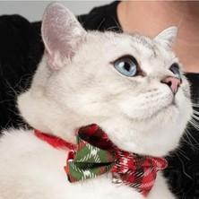 Esranın Dünyası Ayarlanabilir Papyonlu Kedi Tasması