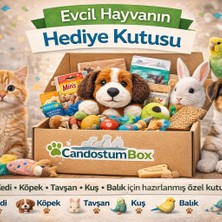 Candostumbox Evcil Hayvan Hediye Kutusu | Kedi Köpek Tavşan Kuş ve Balık Için Evcil Hayvan Ürünleri