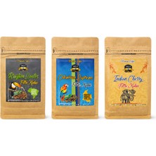 Arya Coffee Dünya Filtre Kahve Seti 3 x 250 gr