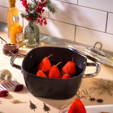 Schafer Gastronomie Master Granit Derin Tencere 20 cm