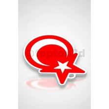 Türk Bayrağı Anahtarlık (Hediyelik, 3D Temalı Anahtarlık)