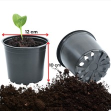 Polatoğlu Tarım 750 Adet 12 Lik Vakum Saksı, Üretim Saksısı, Siyah Saksı