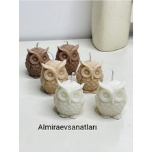 3 Farklı Renk Mum Baykus Modelli Kahve
