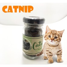 Aesco Catnip Doğal Kedi Otu - Kedi Nanesi