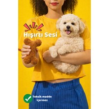 Mood Paw Kemik Köpek Oyuncağı Hışırtı Sesli