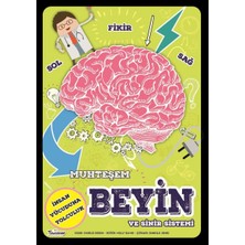 Ergün Collection Muhteşem Beyin ve Sinir Sistemi