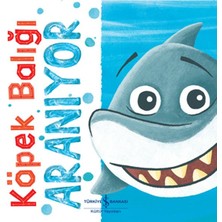 Ergün Collection Köpek Balığı Aranıyor