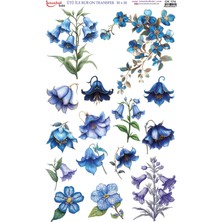 İstanbul Hobi Ütü Ile Rub On  Transfer Ck 174  30 x 50 cm