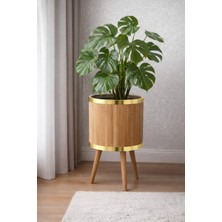 Black Pearl Bambu Ahşap Ayaklı Saksı Büyük Boy Gold 30 cm