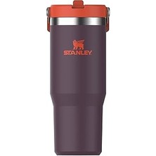 Starseven Iceflow Flip Straw Tumbler Pipetli Termos Bardak, Mürdüm (Plum), 0.89 Litre