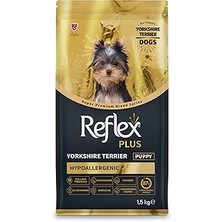 Starseven Yorkshire Terrier Yavru 1.5 kg