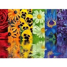 Starseven Ravensburger 164462 500 Parça Puzzle Çiçek Yansıma, Çok Renkli