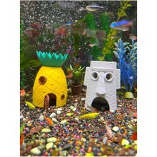 Muyu Craft Akvaryum Dekoru 2’li Set | Ananas Ev + Moai Ev Set-Ana-Moa-01, One Size