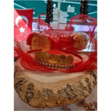 Nk Organik Kına Tacı Liralı 5li