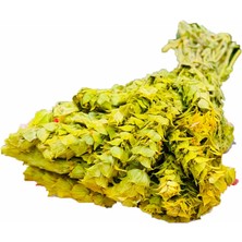 Nk Organik Akdeniz Adaçayı Anamur Demet 1AD