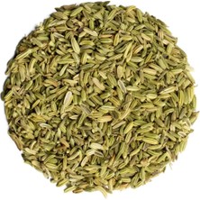 Nk Organik Rezene Tohum (Foeniculum Vulgare) 50GR