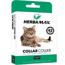 Epilons Pire Dış Parazit - 42 cm