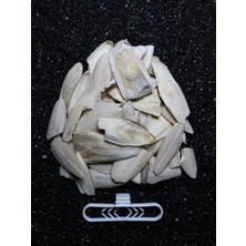 Esranın Dünyası 100 gr Kırık Kalamar Kemiği + Tutacak Seti