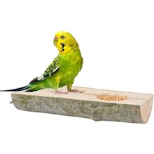 Esranın Dünyası Doğal Ağaç Kuş Tüneği ve Yemlik Kütük Tasarımı