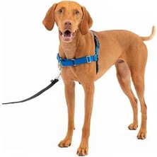 Esranın Dünyası Easy Walk Köpek Koşum Takımı