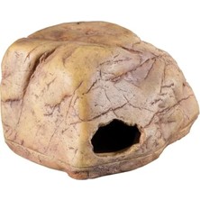 Esranın Dünyası Sürüngenler Için Saklanma Mağarası, Orta Boy